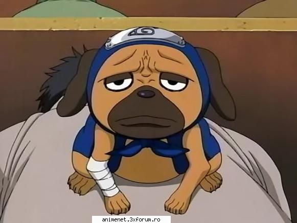 Animale de ajutor - Pakkun- Este cel mai mic c�ine dintre toţi - Naruto