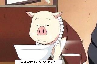 Animale de ajutor - Kaori Chan - Naruto