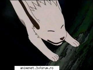 Animale de ajutor - Akamaru- Este c�inele lui Kiba, fiind �n - Naruto