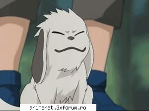 Animale de ajutor - Kaori Chan - Naruto
