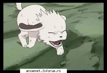 Animale de ajutor - Kaori Chan - Naruto