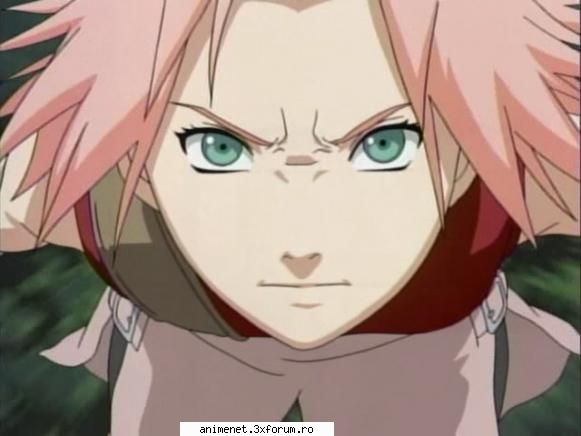 sakura haruno