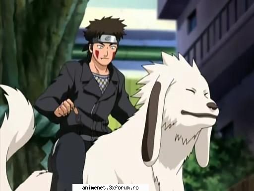 kiba inuzuka kiba and akamaru Administrator